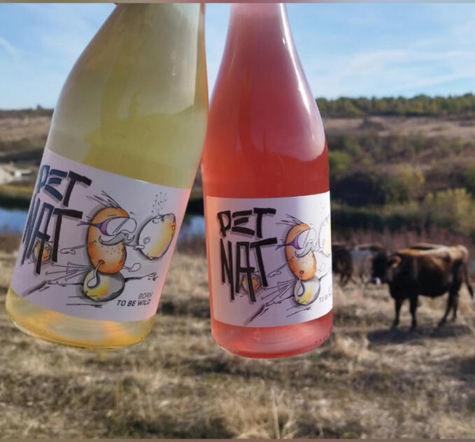 Natural Wine 2